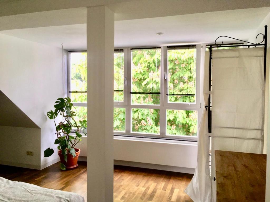 Maisonette Wohnung Suedstadtvilla アイゼナハ エクステリア 写真